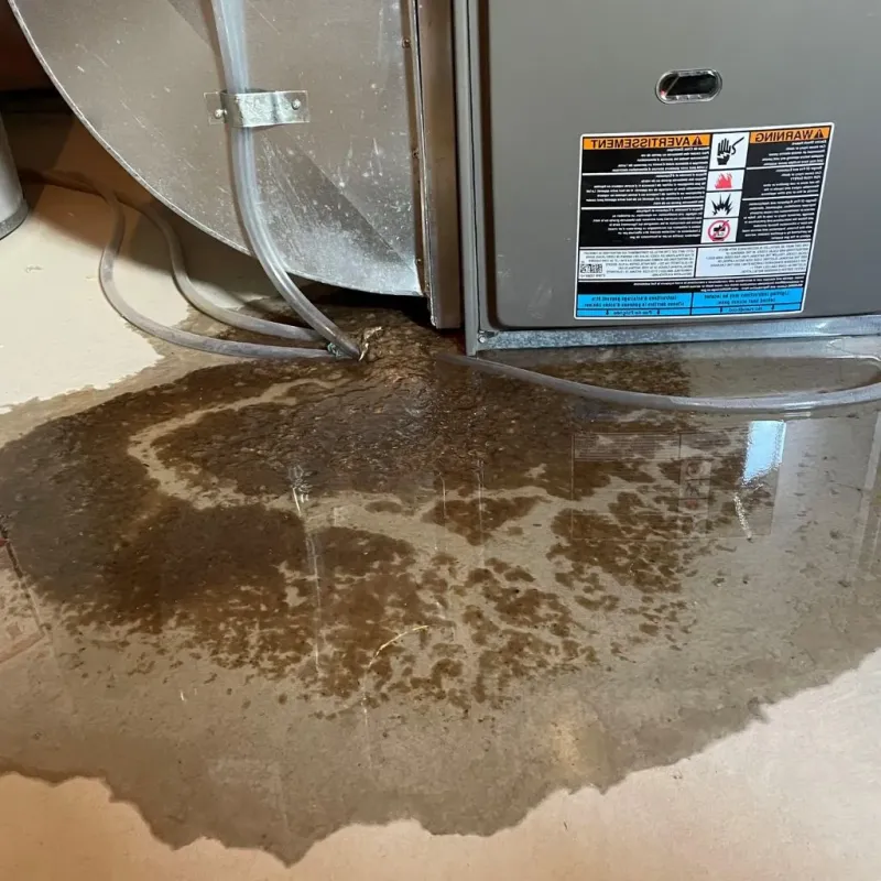 Pipe Burst and Leak Restoration in Garden City, NY